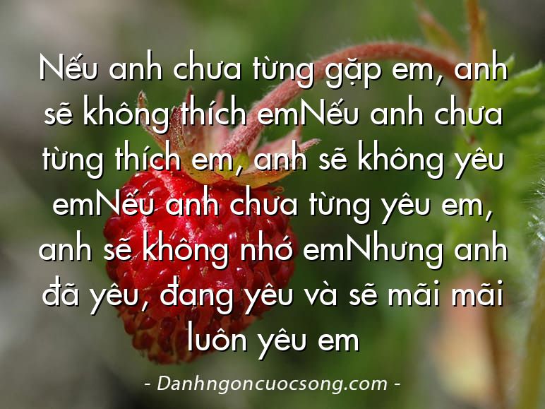 Nếu anh chưa từng gặp em, anh sẽ không thích emNếu anh chưa từng thích em, anh sẽ không yêu emNếu anh chưa từng yêu em, anh sẽ không nhớ emNhưng anh đã yêu, đang yêu và sẽ mãi mãi luôn yêu em