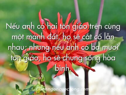 Nếu anh có hai tôn giáo trên cùng một mảnh đất, họ sẽ cắt cổ lẫn nhau; nhưng nếu anh có ba mươi tôn giáo, họ sẽ chung sống hòa bình.