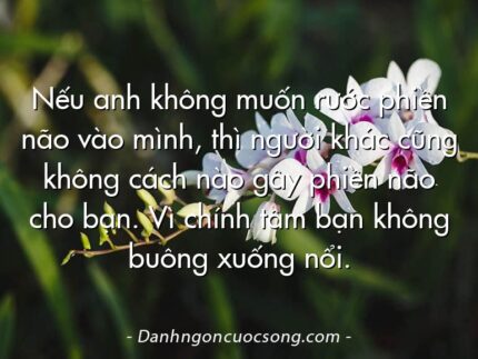 Nếu anh không muốn rước phiền não vào mình, thì người khác cũng không cách nào gây phiền não cho bạn. Vì chính tâm bạn không buông xuống nổi.
