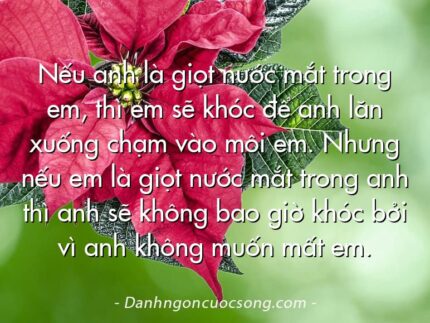 Nếu anh là giọt nước mắt trong em, thì em sẽ khóc để anh lăn xuống chạm vào môi em. Nhưng nếu em là giọt nước mắt trong anh thì anh sẽ không bao giờ khóc bởi vì anh không muốn mất em.