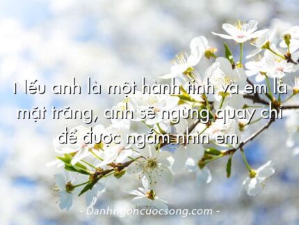 Nếu anh là một hành tinh và em là mặt trăng, anh sẽ ngừng quay chỉ để được ngắm nhìn em.