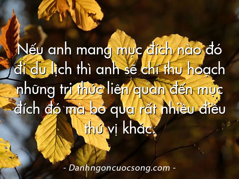 Nếu anh mang mục đích nào đó đi du lịch thì anh sẽ chỉ thu hoạch những tri thức liên quan đến mục đích đó mà bỏ qua rất nhiều điều thú vị khác.