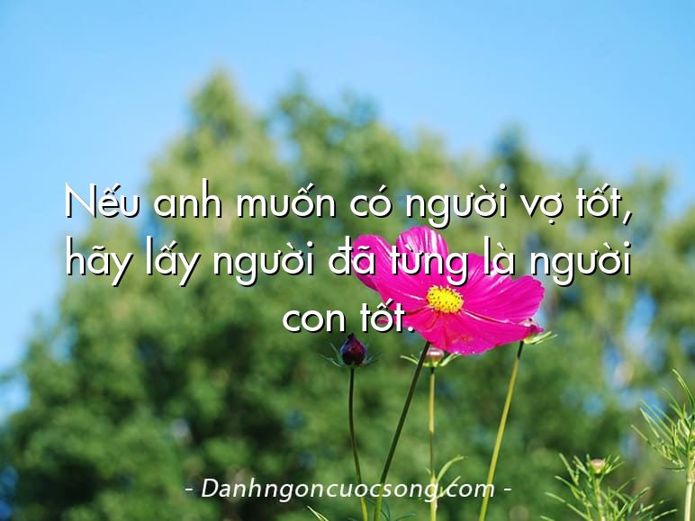 Nếu anh muốn có người vợ tốt, hãy lấy người đã từng là người con tốt.