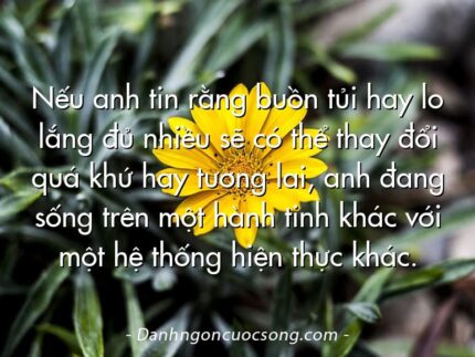 Nếu anh tin rằng buồn tủi hay lo lắng đủ nhiều sẽ có thể thay đổi quá khứ hay tương lai, anh đang sống trên một hành tinh khác với một hệ thống hiện thực khác.