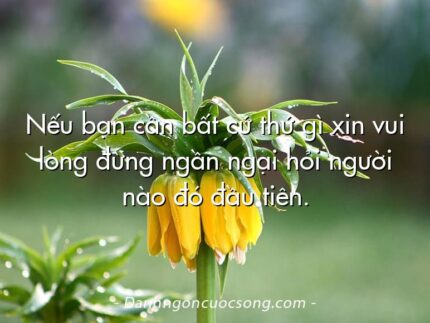 Nếu bạn cần bất cứ thứ gì xin vui lòng đừng ngần ngại hỏi người nào đó đầu tiên.