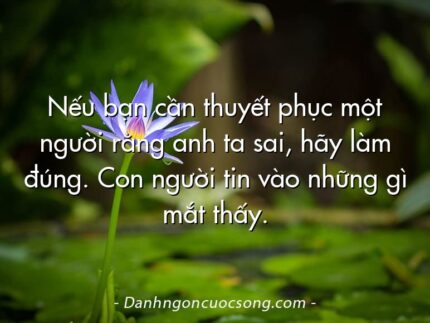 Nếu bạn cần thuyết phục một người rằng anh ta sai, hãy làm đúng. Con người tin vào những gì mắt thấy.