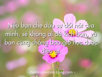 Nếu bạn che dấu sự dốt nát của mình, sẽ không ai đả kích bạn, và bạn cũng chẳng bao giờ học được điều gì.