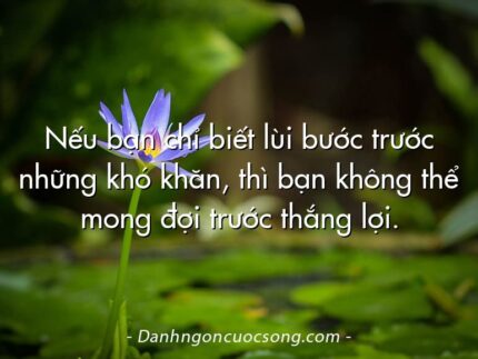 Nếu bạn chỉ biết lùi bước trước những khó khăn, thì bạn không thể mong đợi trước thắng lợi.