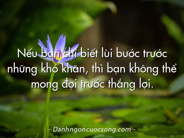 Nếu bạn chỉ biết lùi bước trước những khó khăn, thì bạn không thể mong đợi trước thắng lợi.