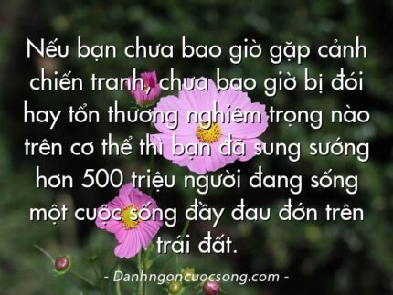 Nếu bạn chưa bao giờ gặp cảnh chiến tranh, chưa bao giờ bị đói hay tổn thương nghiêm trọng nào trên cơ thể thì bạn đã sung sướng hơn 500 triệu người đang sống một cuộc sống đầy đau đớn trên trái đất.