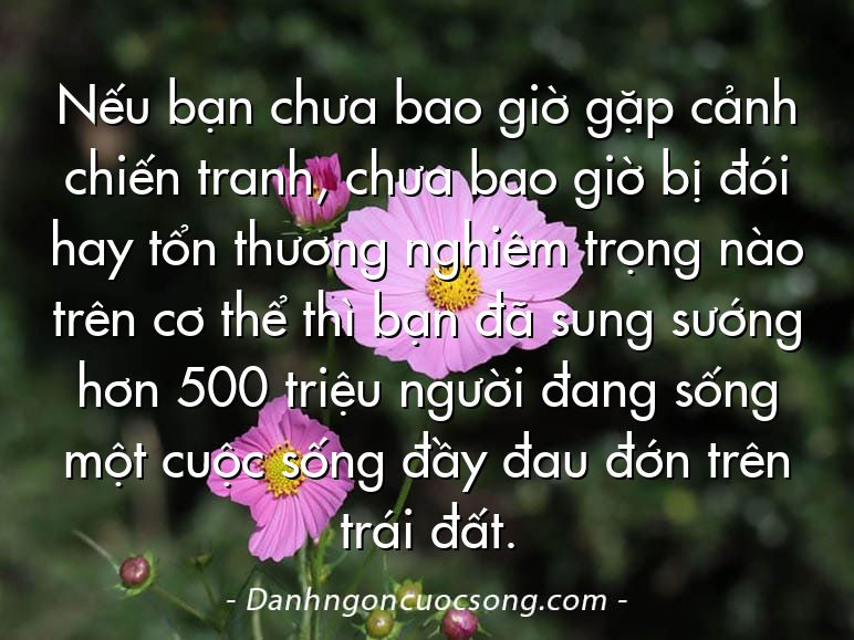 Nếu bạn chưa bao giờ gặp cảnh chiến tranh, chưa bao giờ bị đói hay tổn thương nghiêm trọng nào trên cơ thể thì bạn đã sung sướng hơn 500 triệu người đang sống một cuộc sống đầy đau đớn trên trái đất.