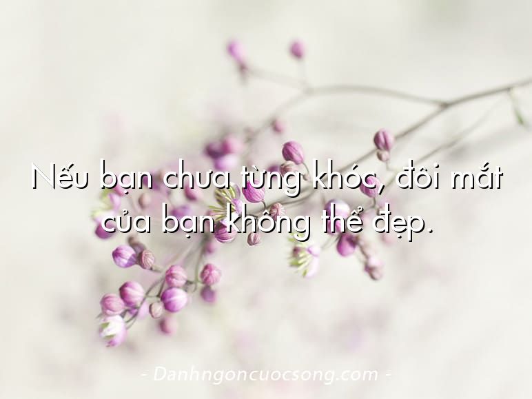 Nếu bạn chưa từng khóc, đôi mắt của bạn không thể đẹp.