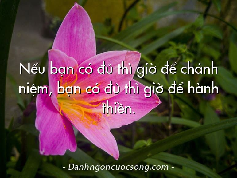 Nếu bạn có đủ thì giờ để chánh niệm, bạn có đủ thì giờ để hành thiền.