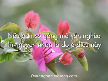 Nếu bạn cố gắng mà vẫn nghèo thì nguyên nhân là do 6 điều này
