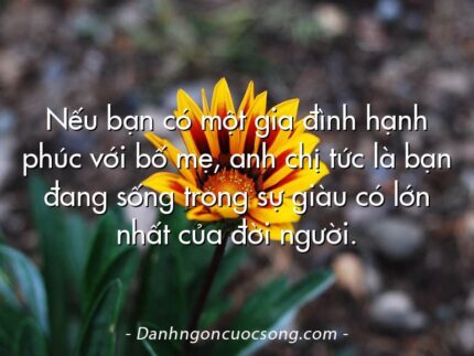 Nếu bạn có một gia đình hạnh phúc với bố mẹ, anh chị tức là bạn đang sống trong sự giàu có lớn nhất của đời người.