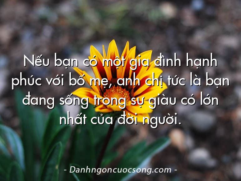 Nếu bạn có một gia đình hạnh phúc với bố mẹ, anh chị tức là bạn đang sống trong sự giàu có lớn nhất của đời người.
