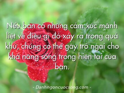 Nếu bạn có những cảm xúc mãnh liệt về điều gì đó xảy ra trong quá khứ, chúng có thể gây trở ngại cho khả năng sống trong hiện tại của bạn.