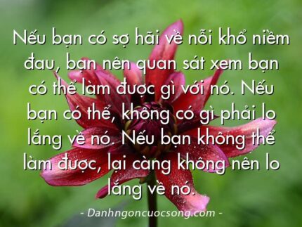 Nếu bạn có sợ hãi về nỗi khổ niềm đau, bạn nên quan sát xem bạn có thể làm được gì với nó. Nếu bạn có thể, không có gì phải lo lắng về nó. Nếu bạn không thể làm được, lại càng không nên lo lắng về nó.