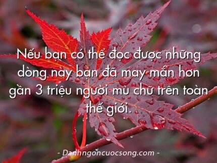 Nếu bạn có thể đọc được những dòng này bạn đã may mắn hơn gần 3 triệu người mù chữ trên toàn thế giới.