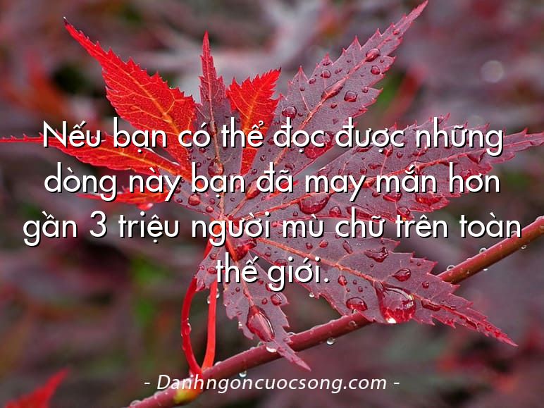 Nếu bạn có thể đọc được những dòng này bạn đã may mắn hơn gần 3 triệu người mù chữ trên toàn thế giới.