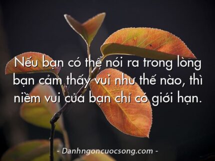 Nếu bạn có thể nói ra trong lòng bạn cảm thấy vui như thế nào, thì niềm vui của bạn chỉ có giới hạn.