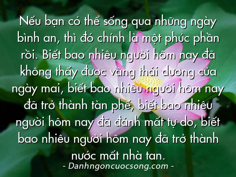 Nếu bạn có thể sống qua những ngày bình an, thì đó chính là một phúc phần rồi. Biết bao nhiêu người hôm nay đã không thấy được vầng thái dương của ngày mai, biết bao nhiêu người hôm nay đã trở thành tàn phế, biết bao nhiêu người hôm nay đã đánh mất tự do, biết bao nhiêu người hôm nay đã trở thành nước mất nhà tan.