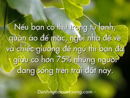 Nếu bạn có thịt trong tủ lạnh, quần áo để mặc, ngôi nhà để về và chiếc giường để ngủ thì bạn đã giàu có hơn 75% những người đang sống trên trái đất này.