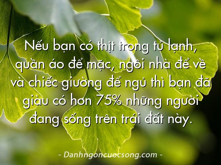 Nếu bạn có thịt trong tủ lạnh, quần áo để mặc, ngôi nhà để về và chiếc giường để ngủ thì bạn đã giàu có hơn 75% những người đang sống trên trái đất này.