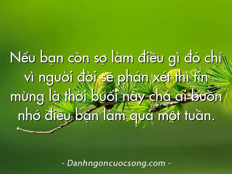 Nếu bạn còn sợ làm điều gì đó chỉ vì người đời sẽ phán xét thì tin mừng là thời buổi này chả ai buồn nhớ điều bạn làm quá một tuần.