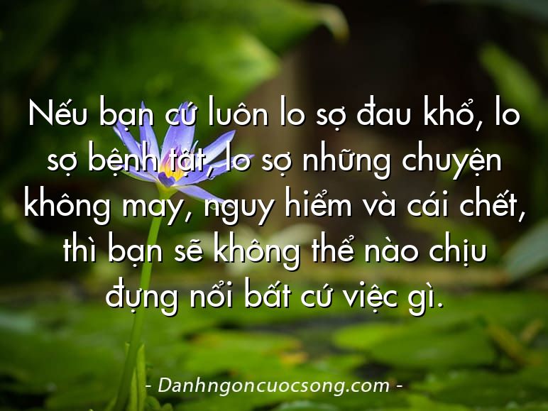 Nếu bạn cứ luôn lo sợ đau khổ, lo sợ bệnh tật, lo sợ những chuyện không may, nguy hiểm và cái chết, thì bạn sẽ không thể nào chịu đựng nổi bất cứ việc gì.