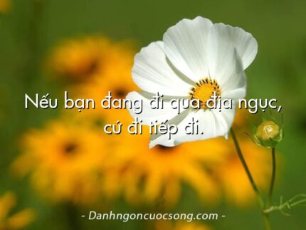 Nếu bạn đang đi qua địa ngục, cứ đi tiếp đi.