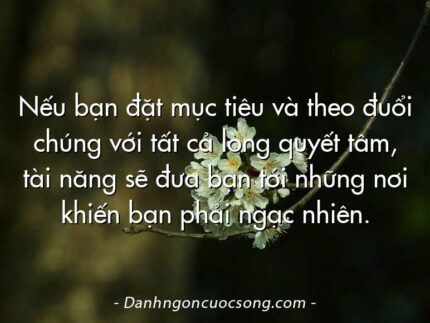 Nếu bạn đặt mục tiêu và theo đuổi chúng với tất cả lòng quyết tâm, tài năng sẽ đưa bạn tới những nơi khiến bạn phải ngạc nhiên.