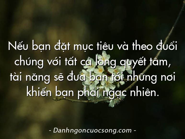 Nếu bạn đặt mục tiêu và theo đuổi chúng với tất cả lòng quyết tâm, tài năng sẽ đưa bạn tới những nơi khiến bạn phải ngạc nhiên.