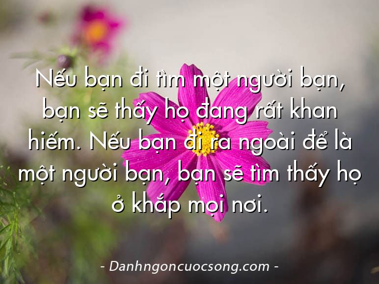 Nếu bạn đi tìm một người bạn, bạn sẽ thấy họ đang rất khan hiếm. Nếu bạn đi ra ngoài để là một người bạn, bạn sẽ tìm thấy họ ở khắp mọi nơi.
