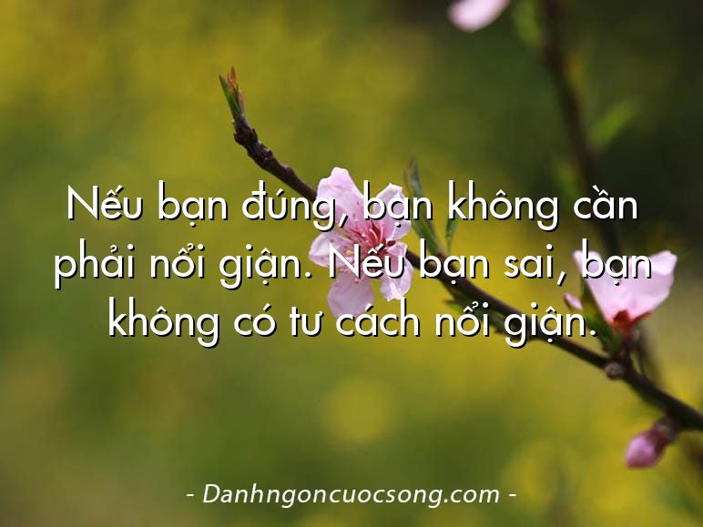 Nếu bạn đúng, bạn không cần phải nổi giận. Nếu bạn sai, bạn không có tư cách nổi giận.