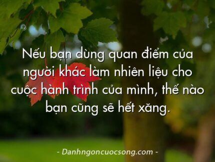 Nếu bạn dùng quan điểm của người khác làm nhiên liệu cho cuộc hành trình của mình, thế nào bạn cũng sẽ hết xăng.