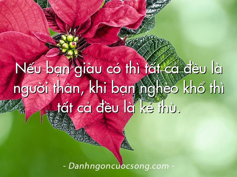 Nếu bạn giàu có thì tất cả đều là người thân, khi bạn nghèo khổ thì tất cả đều là kẻ thù.