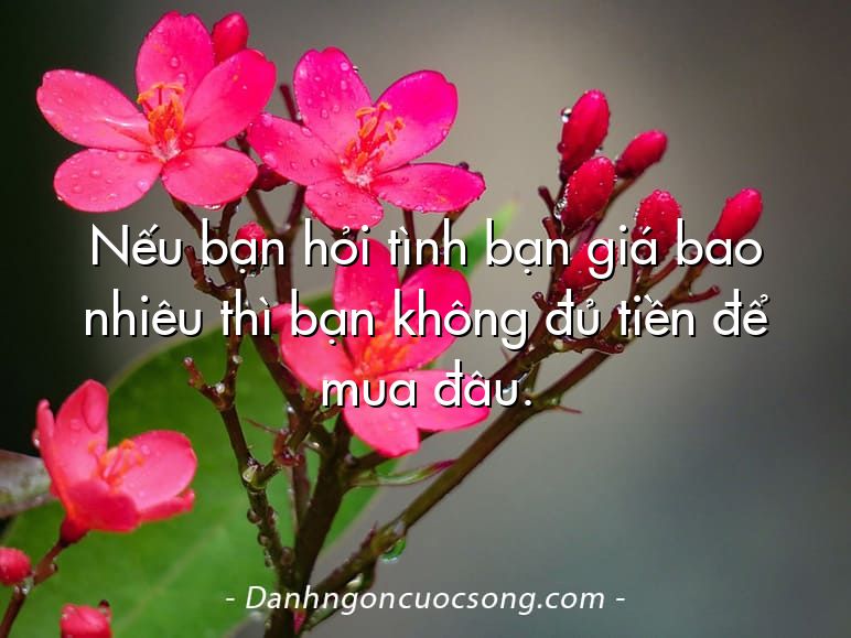 Nếu bạn hỏi tình bạn giá bao nhiêu thì bạn không đủ tiền để mua đâu.