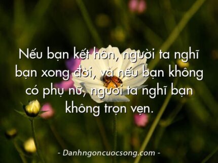 Nếu bạn kết hôn, người ta nghĩ bạn xong đời, và nếu bạn không có phụ nữ, người ta nghĩ bạn không trọn vẹn.
