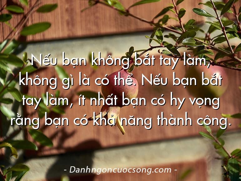 Nếu bạn không bắt tay làm, không gì là có thể. Nếu bạn bắt tay làm, ít nhất bạn có hy vọng rằng bạn có khả năng thành công.