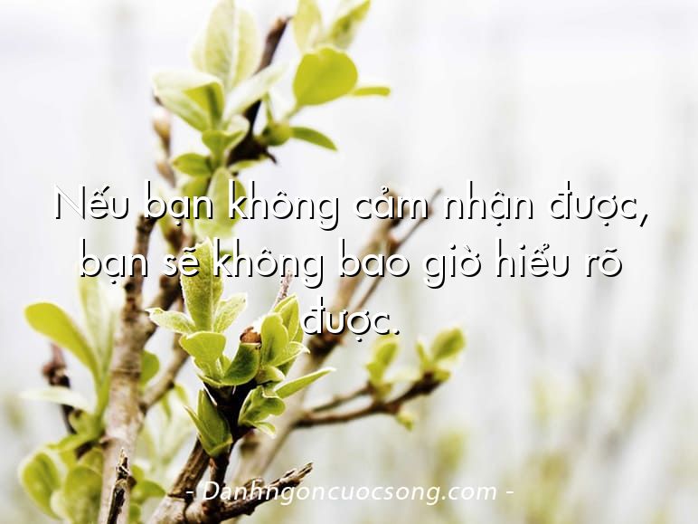Nếu bạn không cảm nhận được, bạn sẽ không bao giờ hiểu rõ được.