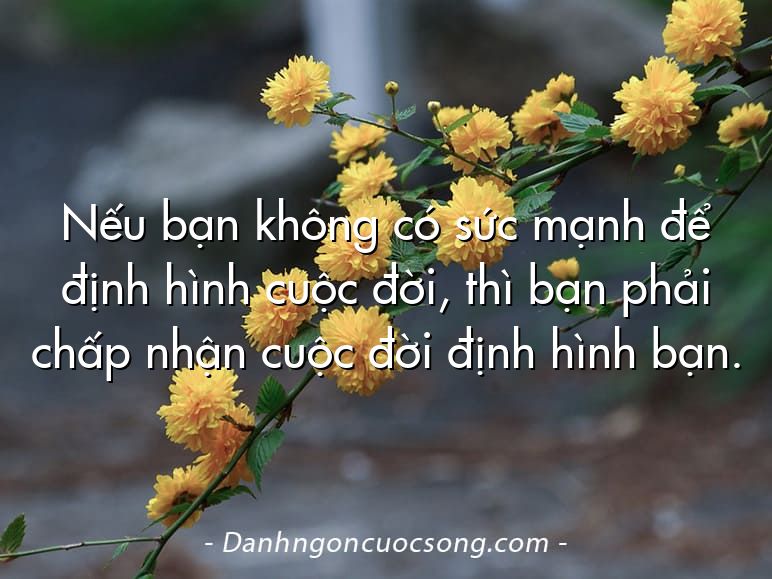 Nếu bạn không có sức mạnh để định hình cuộc đời, thì bạn phải chấp nhận cuộc đời định hình bạn.