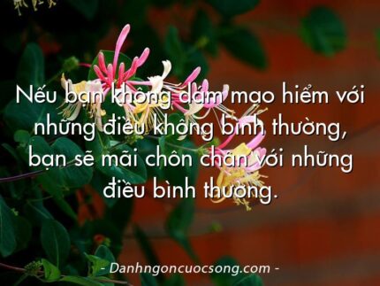 Nếu bạn không dám mạo hiểm với những điều không bình thường, bạn sẽ mãi chôn chân với những điều bình thường.