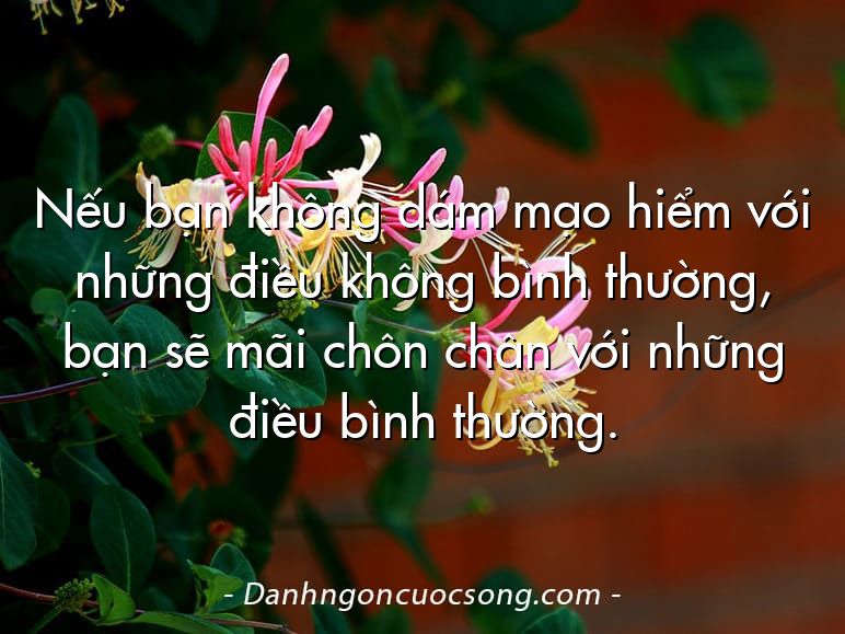 Nếu bạn không dám mạo hiểm với những điều không bình thường, bạn sẽ mãi chôn chân với những điều bình thường.