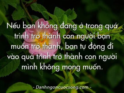 Nếu bạn không đang ở trong quá trình trở thành con người bạn muốn trở thành, bạn tự động đi vào quá trình trở thành con người mình không mong muốn.