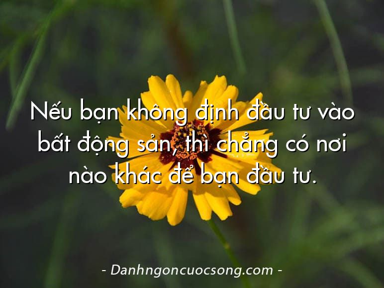 Nếu bạn không định đầu tư vào bất động sản, thì chẳng có nơi nào khác để bạn đầu tư.