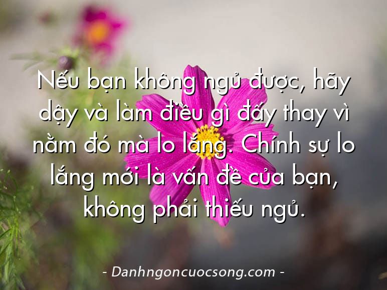 Nếu bạn không ngủ được, hãy dậy và làm điều gì đấy thay vì nằm đó mà lo lắng. Chính sự lo lắng mới là vấn đề của bạn, không phải thiếu ngủ.