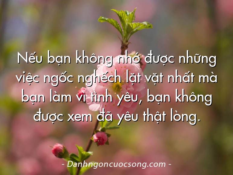 Nếu bạn không nhớ được những việc ngốc nghếch lặt vặt nhất mà bạn làm vì tình yêu, bạn không được xem đã yêu thật lòng.