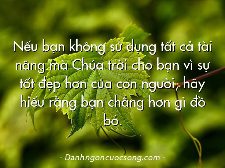 Nếu bạn không sử dụng tất cả tài năng mà Chúa trời cho bạn vì sự tốt đẹp hơn của con người, hãy hiểu rằng bạn chẳng hơn gì đồ bỏ.