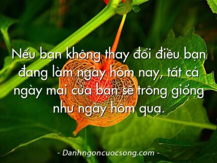 Nếu bạn không thay đổi điều bạn đang làm ngày hôm nay, tất cả ngày mai của bạn sẽ trông giống như ngày hôm qua.